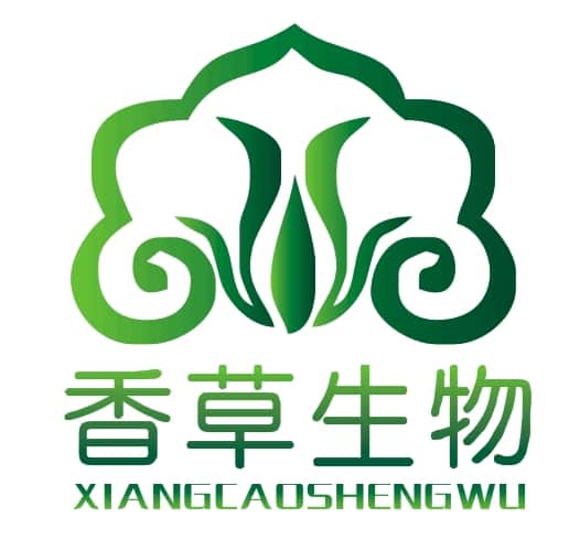 kok官方体育app下载：测温仪工厂—快枪测温 守护健康